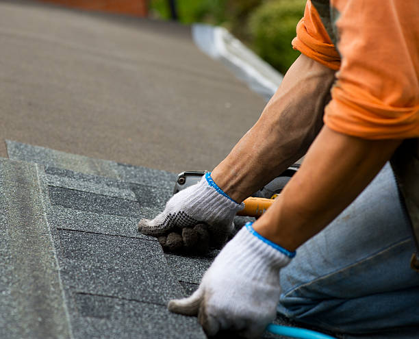 Best Roof Repair Services  in Mackinaw, IL