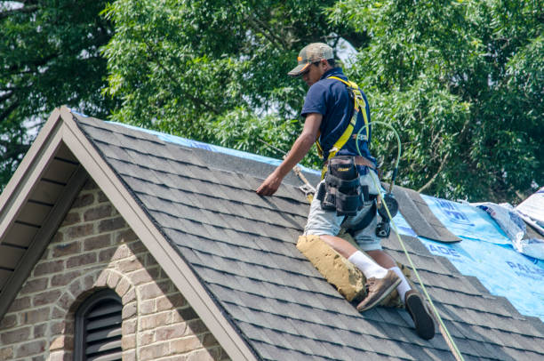 Best Storm Damage Roof Repair  in Mackinaw, IL